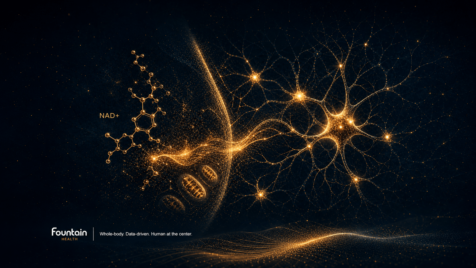 Abstract visualization of NAD+ supporting neuronal energy and mitochondrial function, shown as a golden biological flow forming neural connections on a dark background